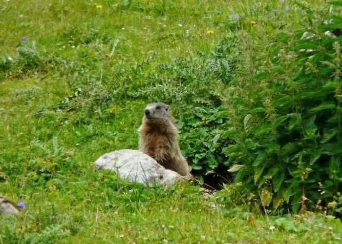 Appartamento Haus Schoenberg By Interhome